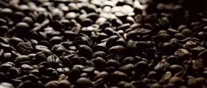 dark coffee roasts beans ultimate