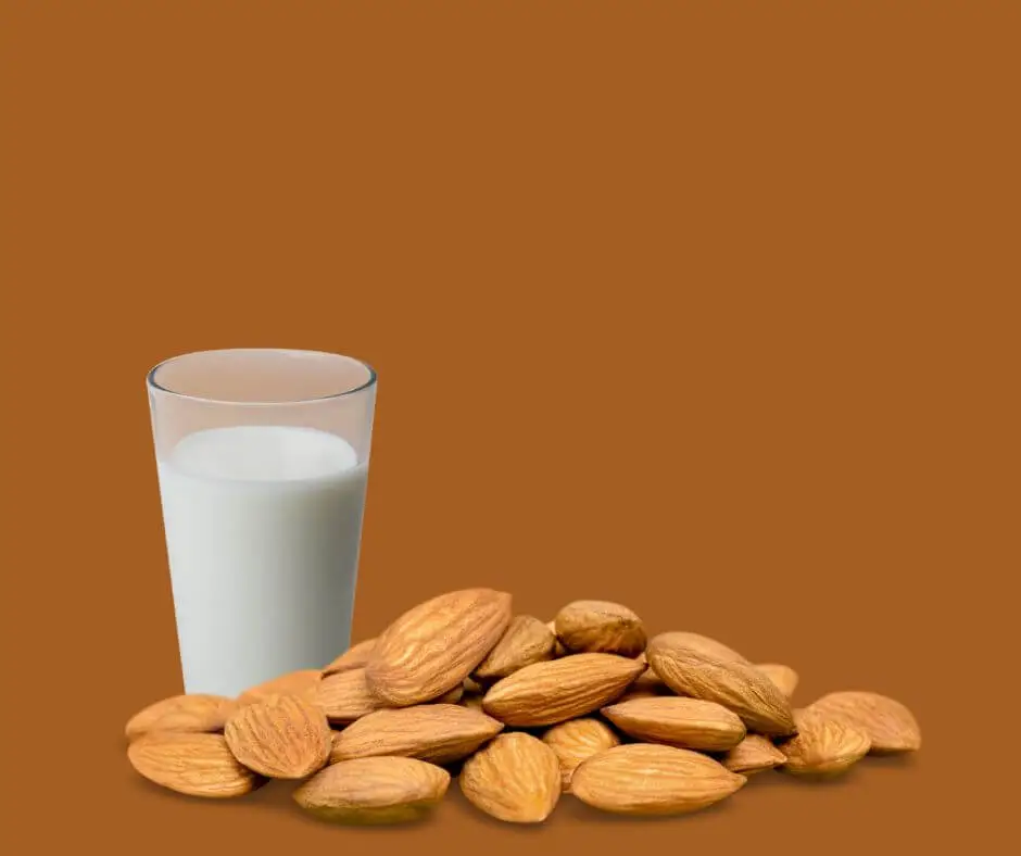 almond Milk used for milk frother