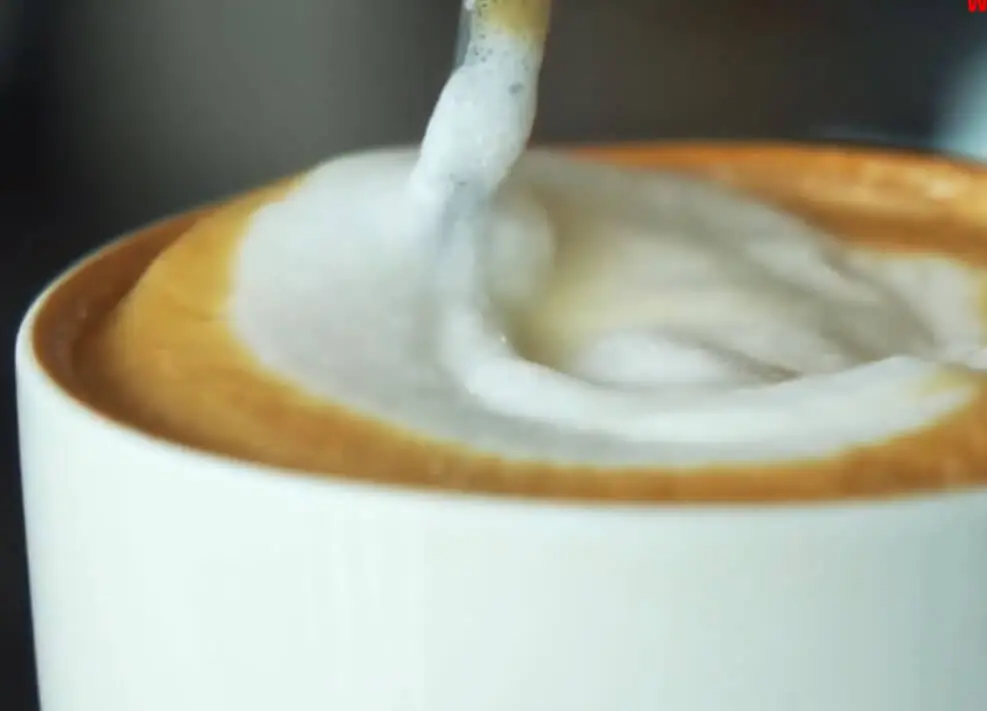 Bone Dry Cappuccino coffee