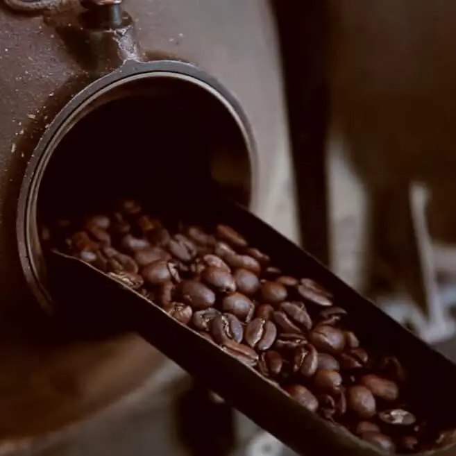 how to make decaf coffee beans Swiss water process