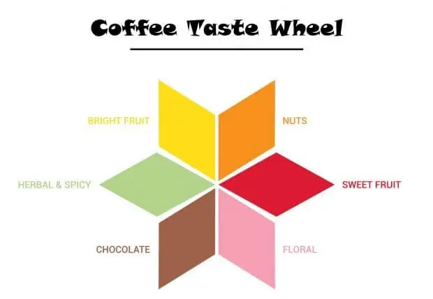 coffee taste wheel