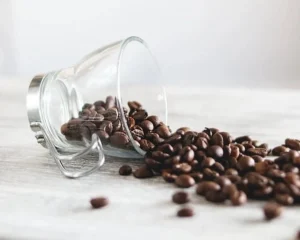 eat coffee beans in cup